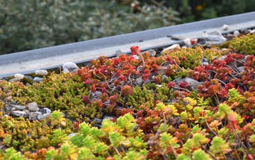 the cost of Bowmans green roof installation