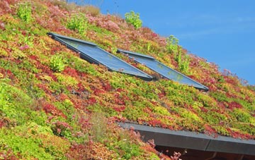 Bowmans living roof systems