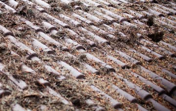 Bowmans roof cleaning companies