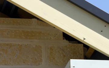 soffit repair Bowmans