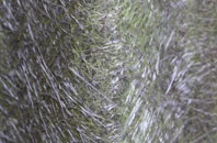Bowmans fibreglass roof work
